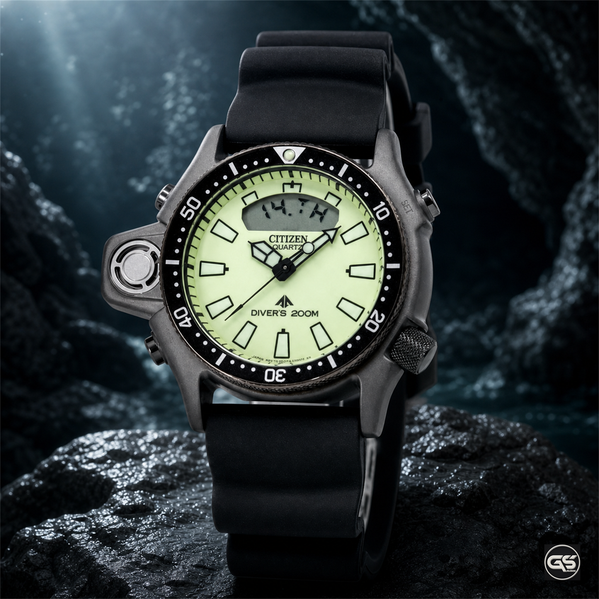 Citizen Promaster Aqualand (Natulite)